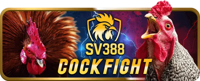 Hoàn Trả Cược mm88b